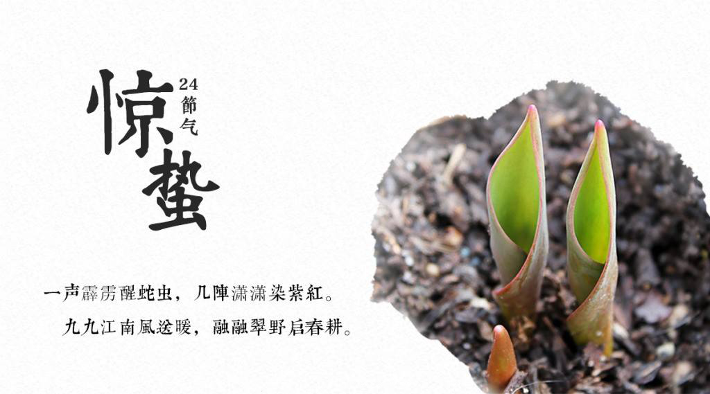 餐饮空间设计你现在不搞，那要等什么时候搞