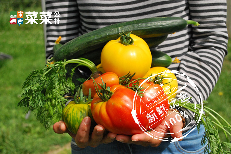 社区生鲜连锁超市品牌策划_菜菜公社品牌文化故事策划-1